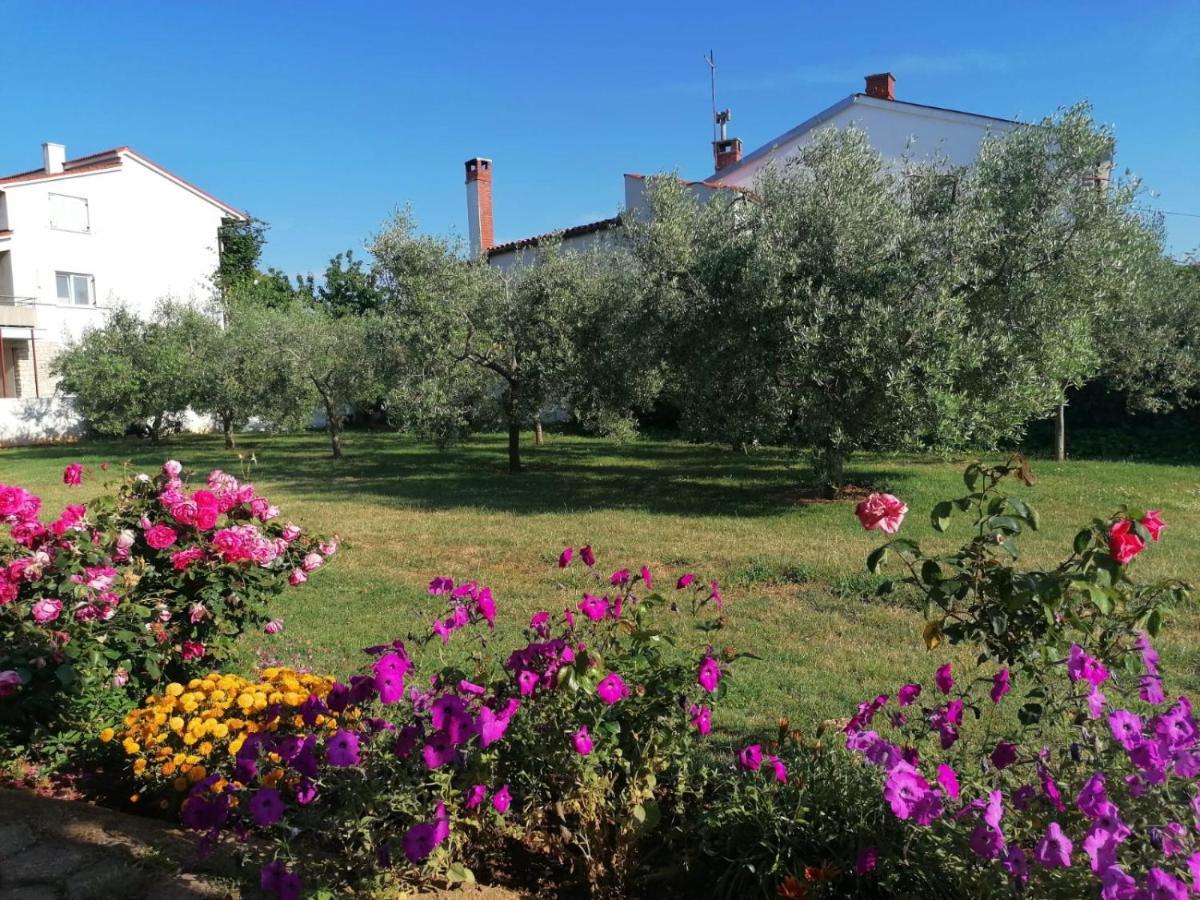 Apartments Tara Medulin Zewnętrze zdjęcie